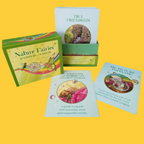 Nature Fairies Whispers Of Wisdom Children's Oracle Cards