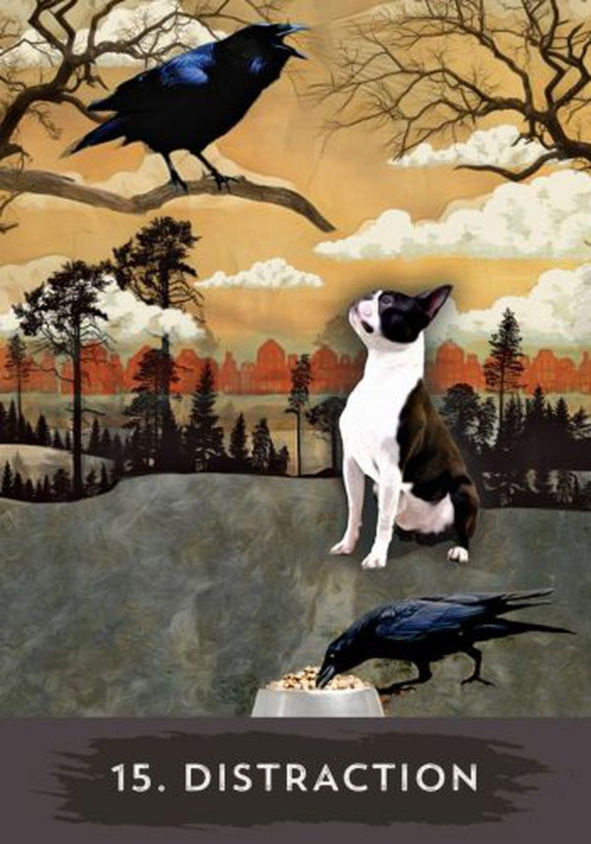 Urban Crow Oracle
