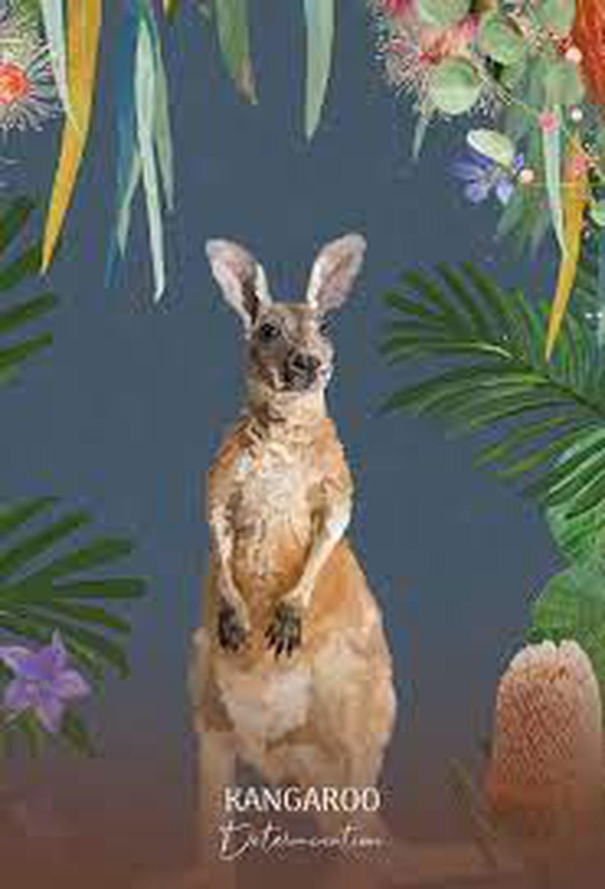 Wild Wisdom Australia