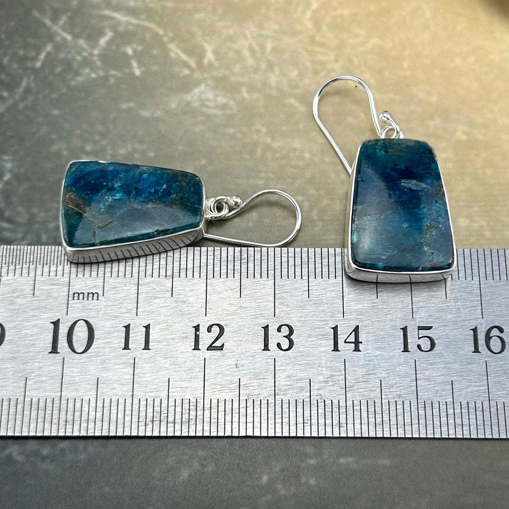 Blue Crystal Earrings