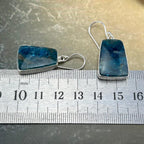 Blue Crystal Earrings