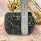 Black Tourmaline Extra Large