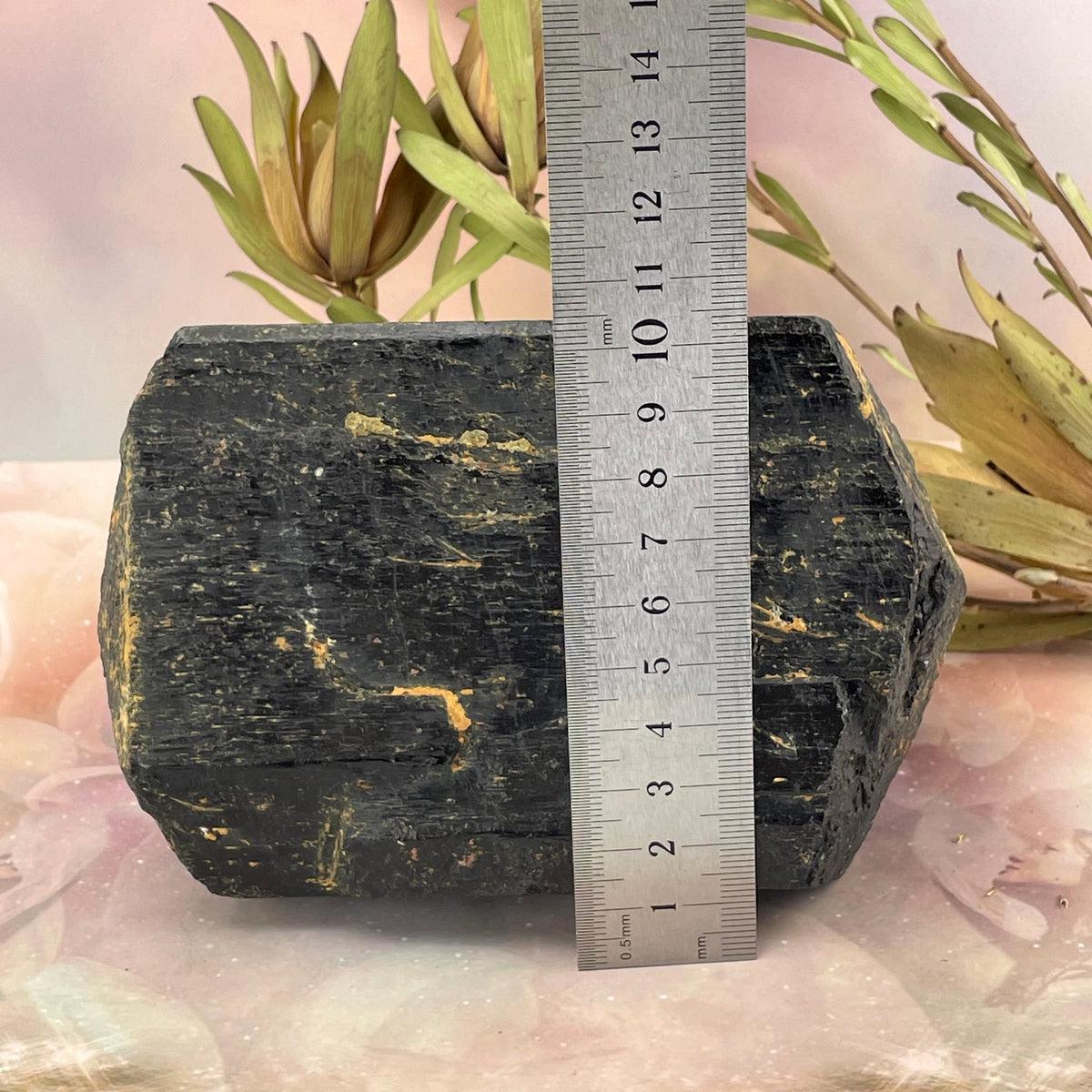 Black Tourmaline Extra Large