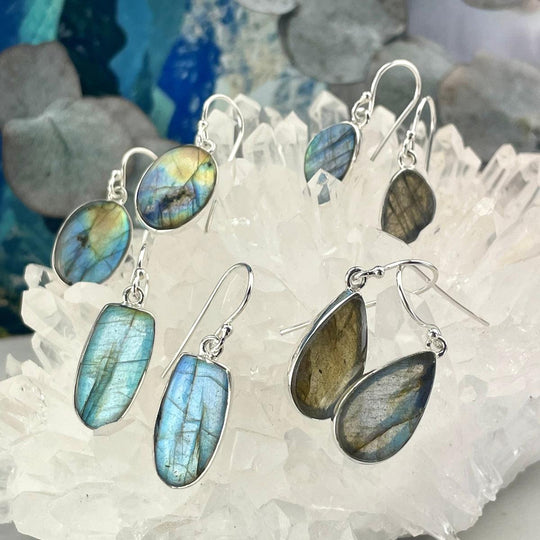 Labradorite Assorted Shape Drop Earrings