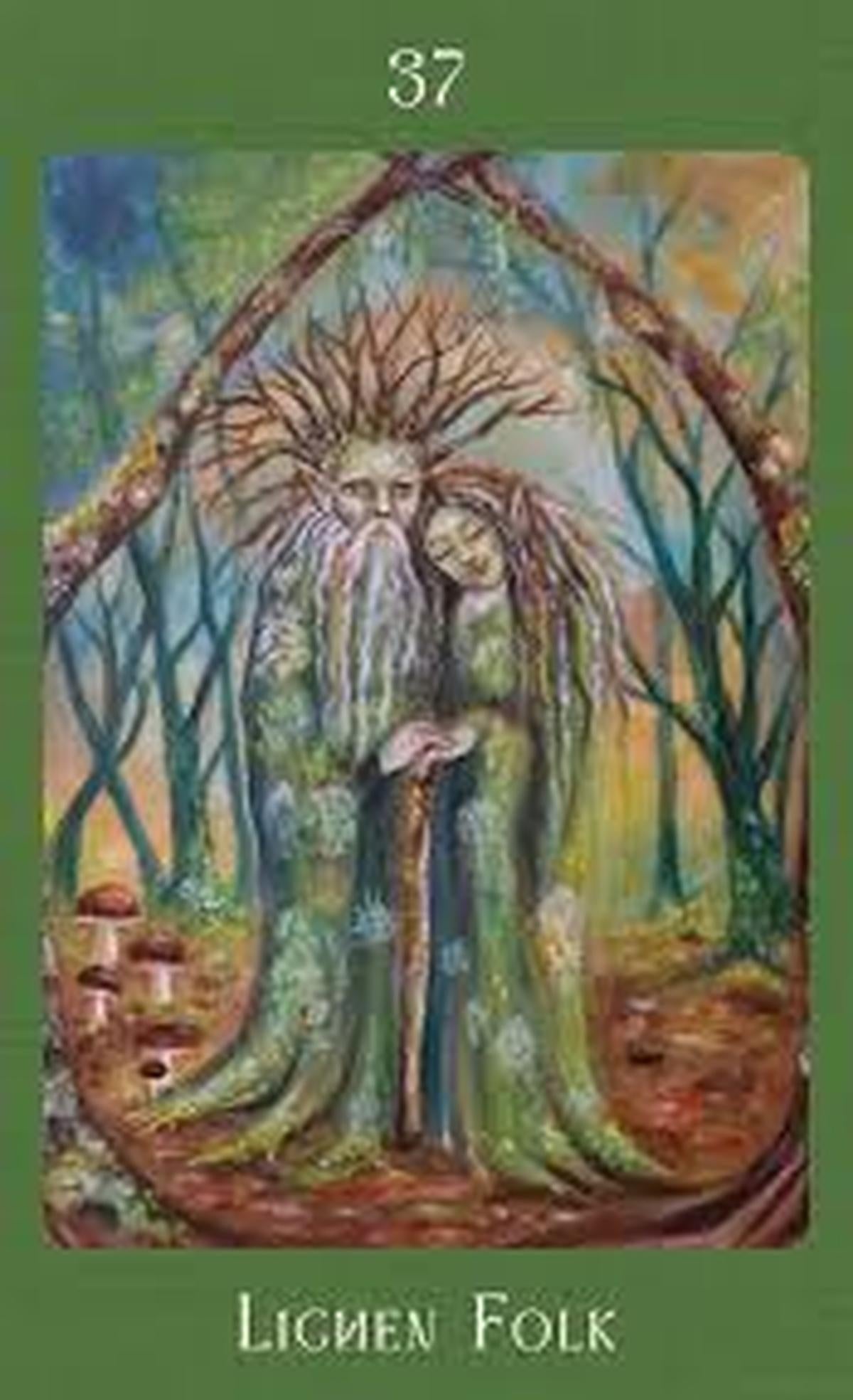 Mushroom Folk Oracle