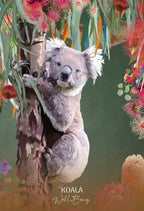 Wild Wisdom Australia
