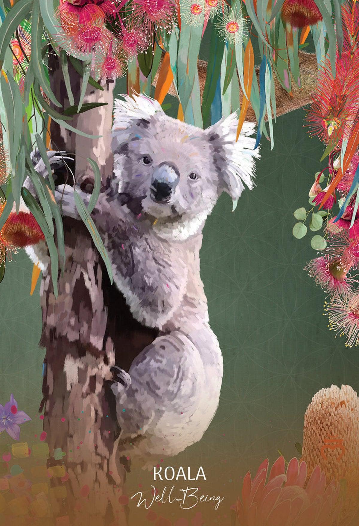 Wild Wisdom Australia