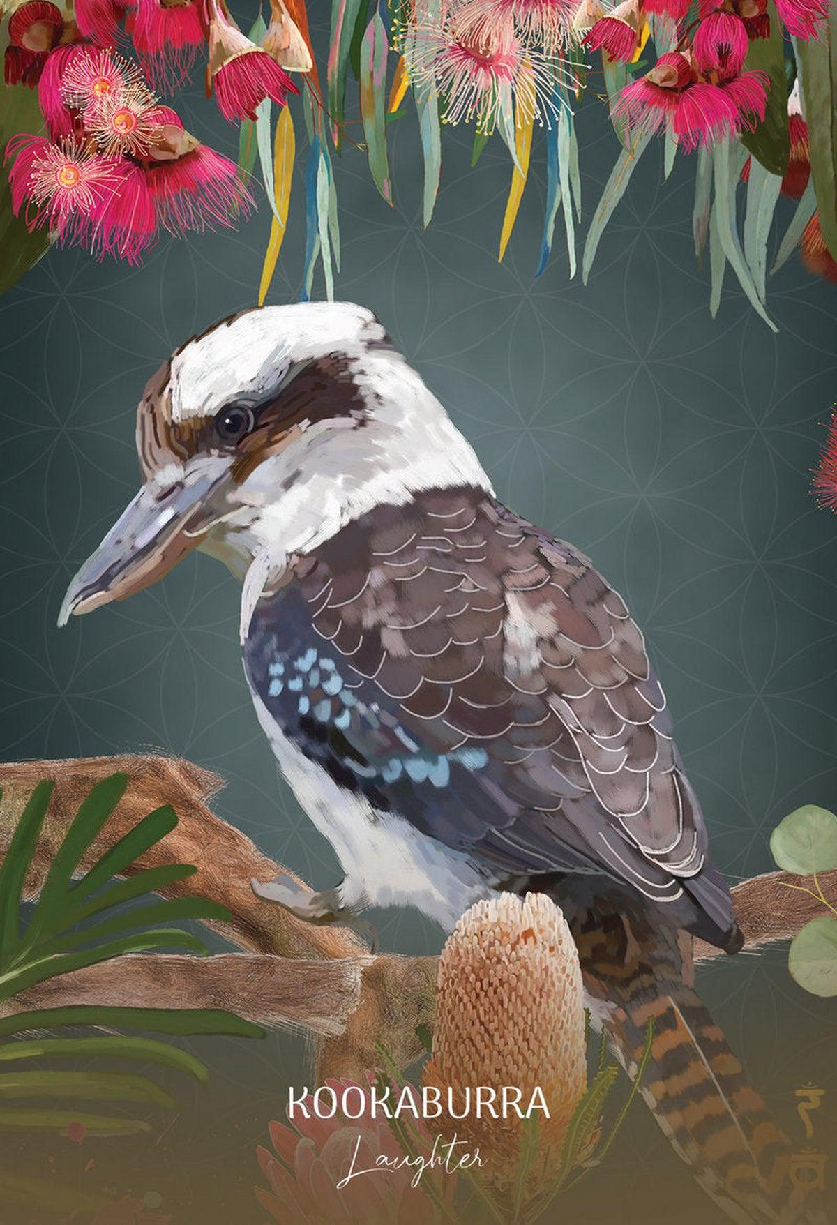 Wild Wisdom Australia
