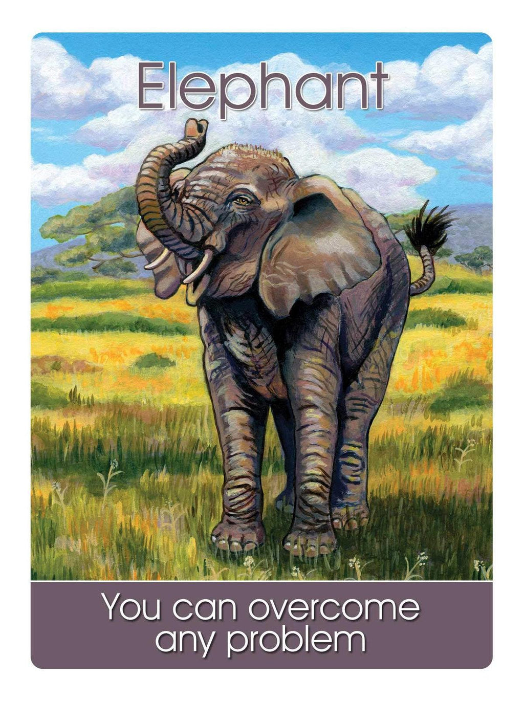 Children's Spirit Animal Cards