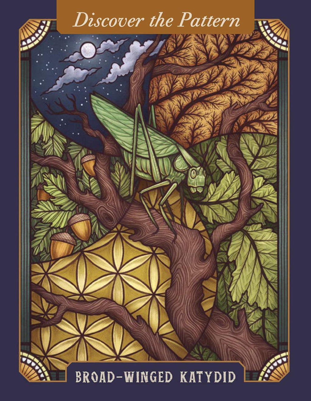 The Illustrated Bestiary Oracle Cards
