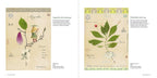 Botanical Visions The Art of MF Cardamone
