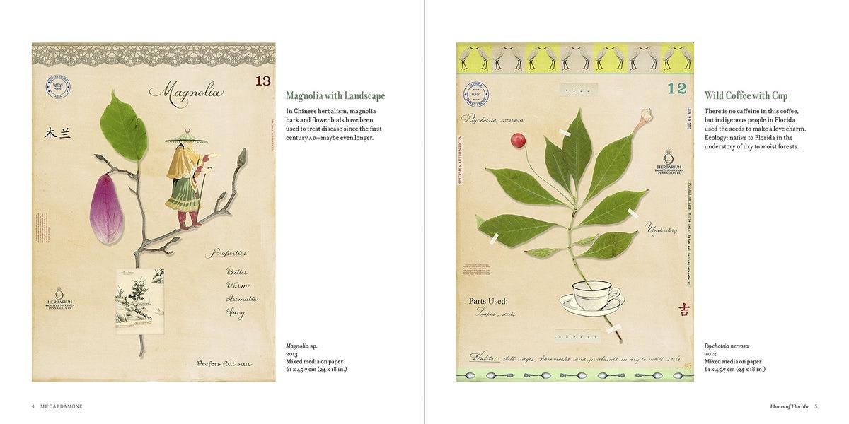 Botanical Visions The Art of MF Cardamone