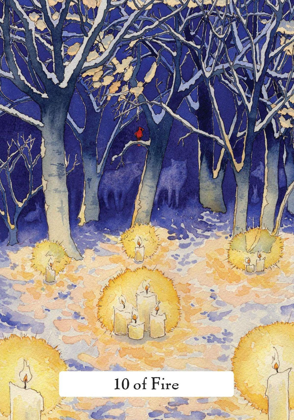 The Witches' Wisdom Tarot