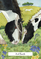 The Witches' Wisdom Tarot