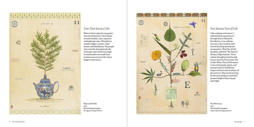Botanical Visions The Art of MF Cardamone