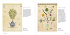 Botanical Visions The Art of MF Cardamone