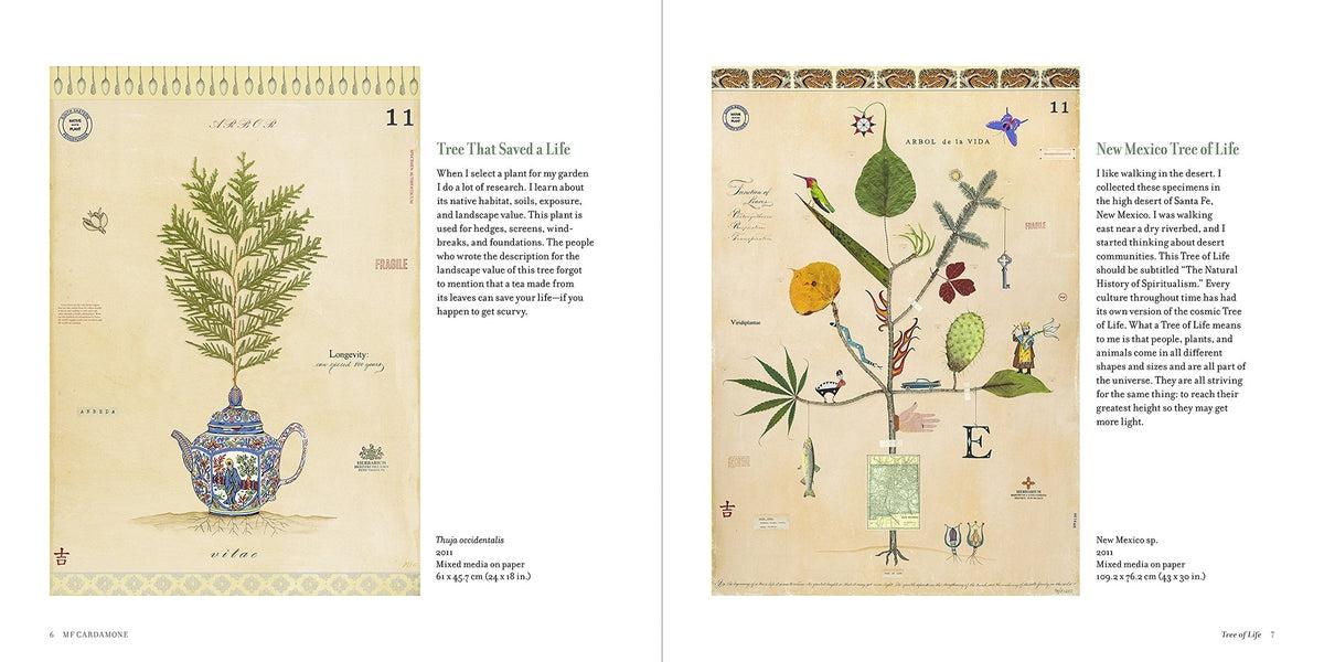 Botanical Visions The Art of MF Cardamone
