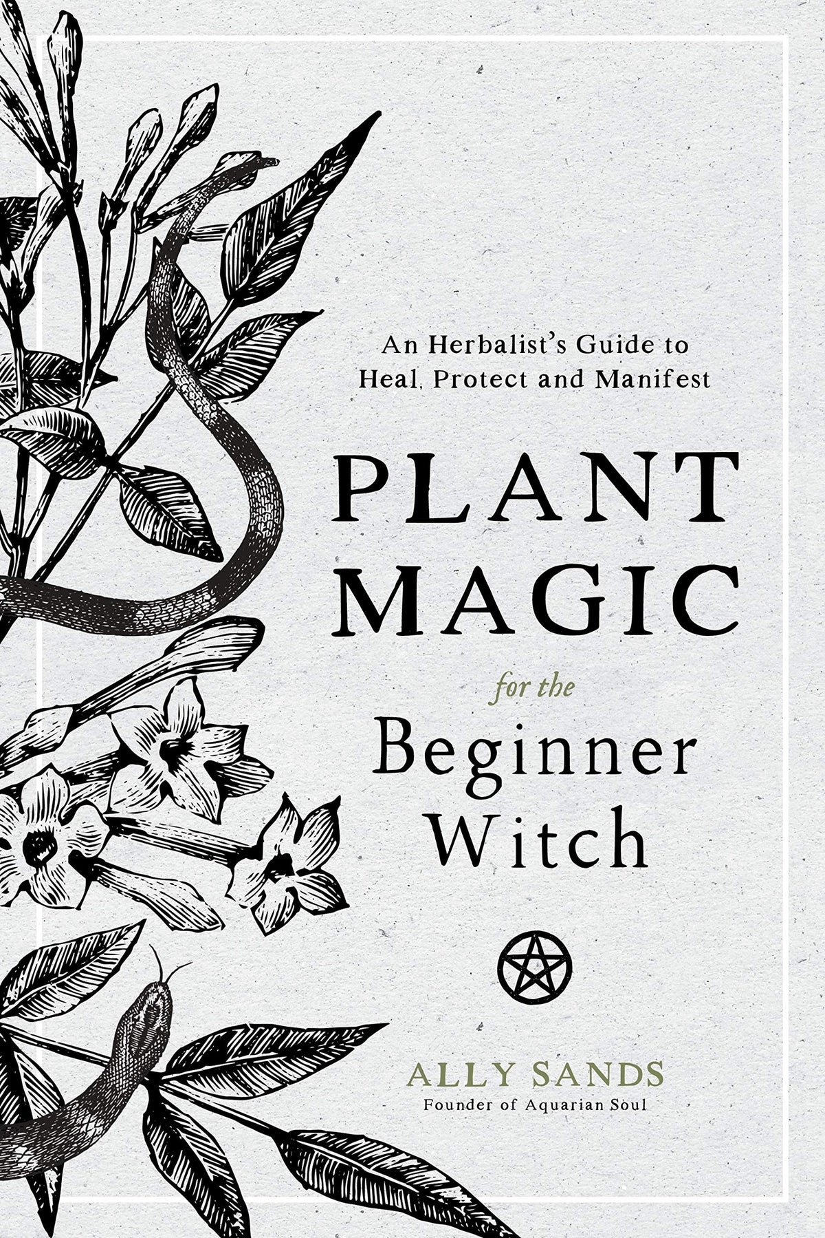 Plant Magic For The Beginner Witch