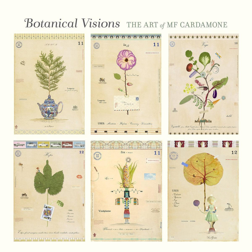 Botanical Visions The Art of MF Cardamone