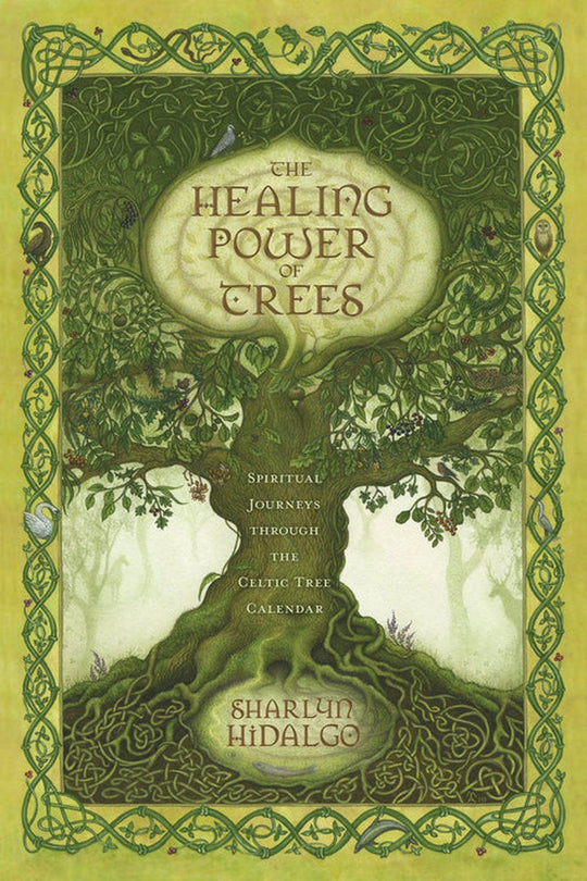 The Healing Powers of Trees