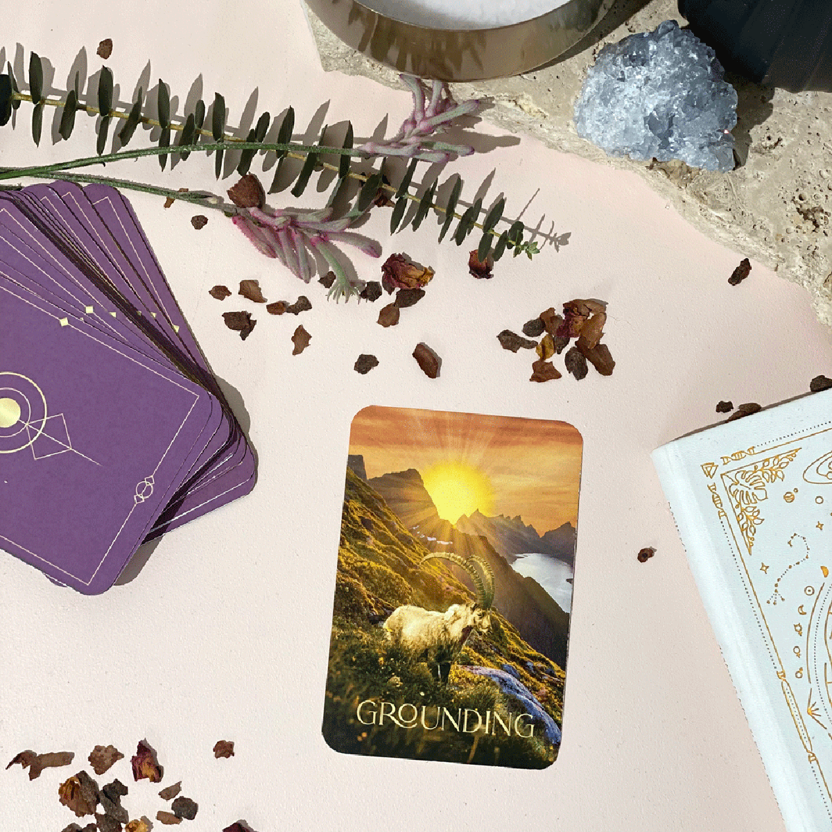 Asteria Oracle Cards