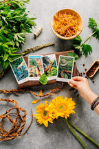 The Herbcrafter's Tarot