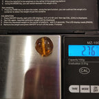 Mexican Amber