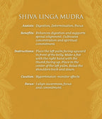 Mudras for Awakening the Energy Body