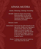 Mudras for Awakening the Five Elements Deck & Book Set