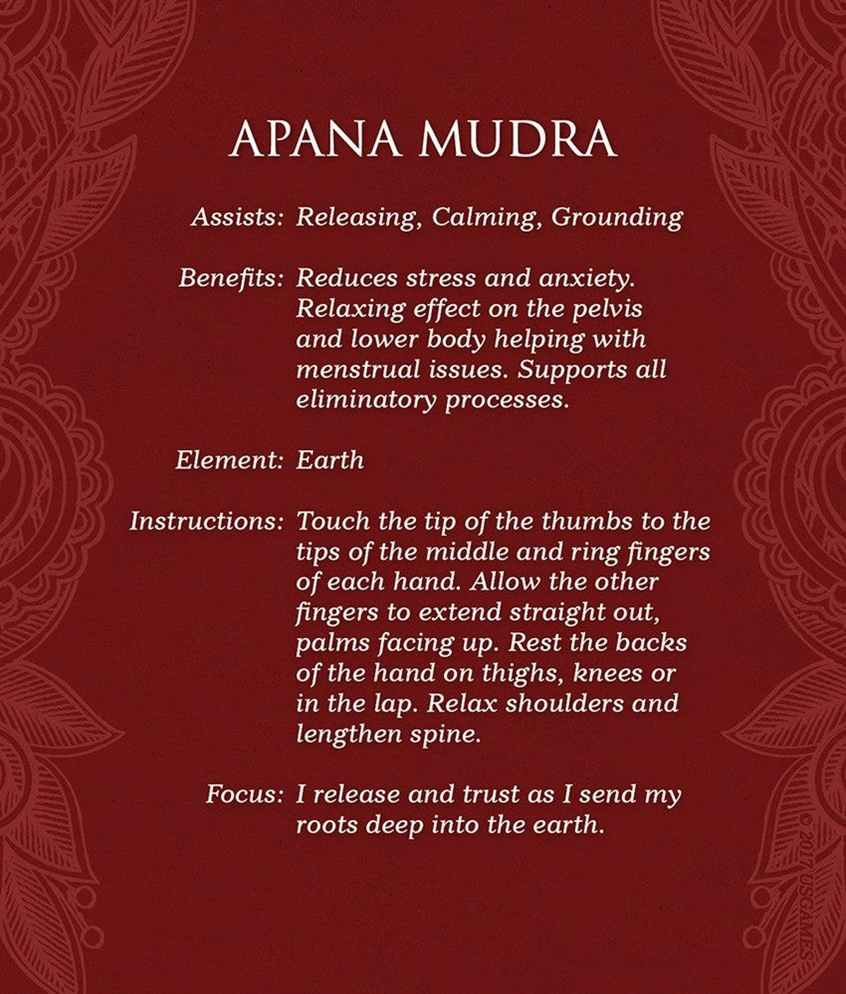 Mudras for Awakening the Five Elements Deck & Book Set
