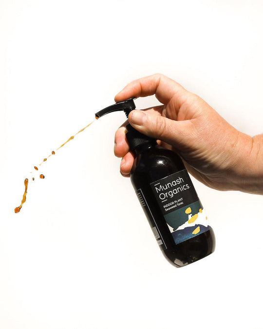 Munash Organics Indoor Plant Seaweed Tonic