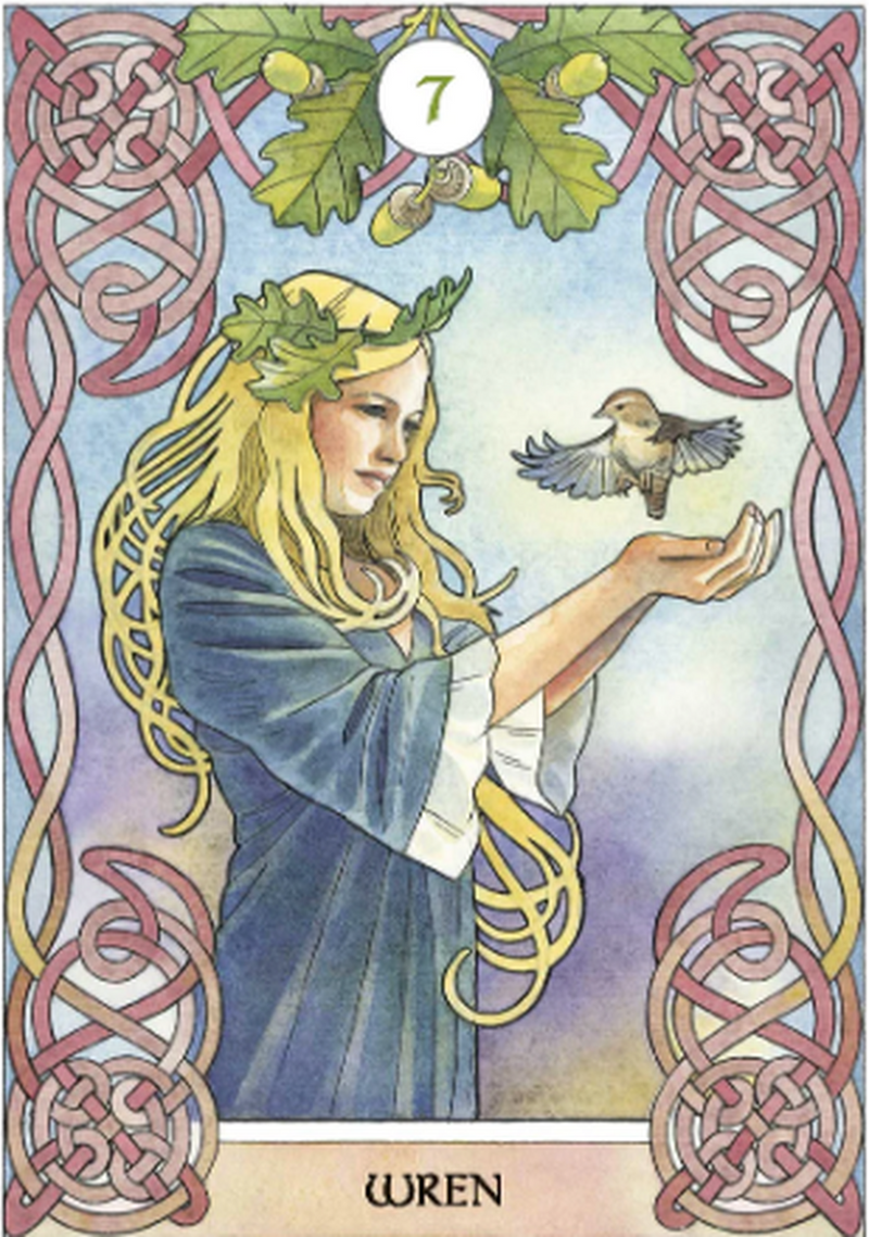 Celtic Astrology Oracle Cards