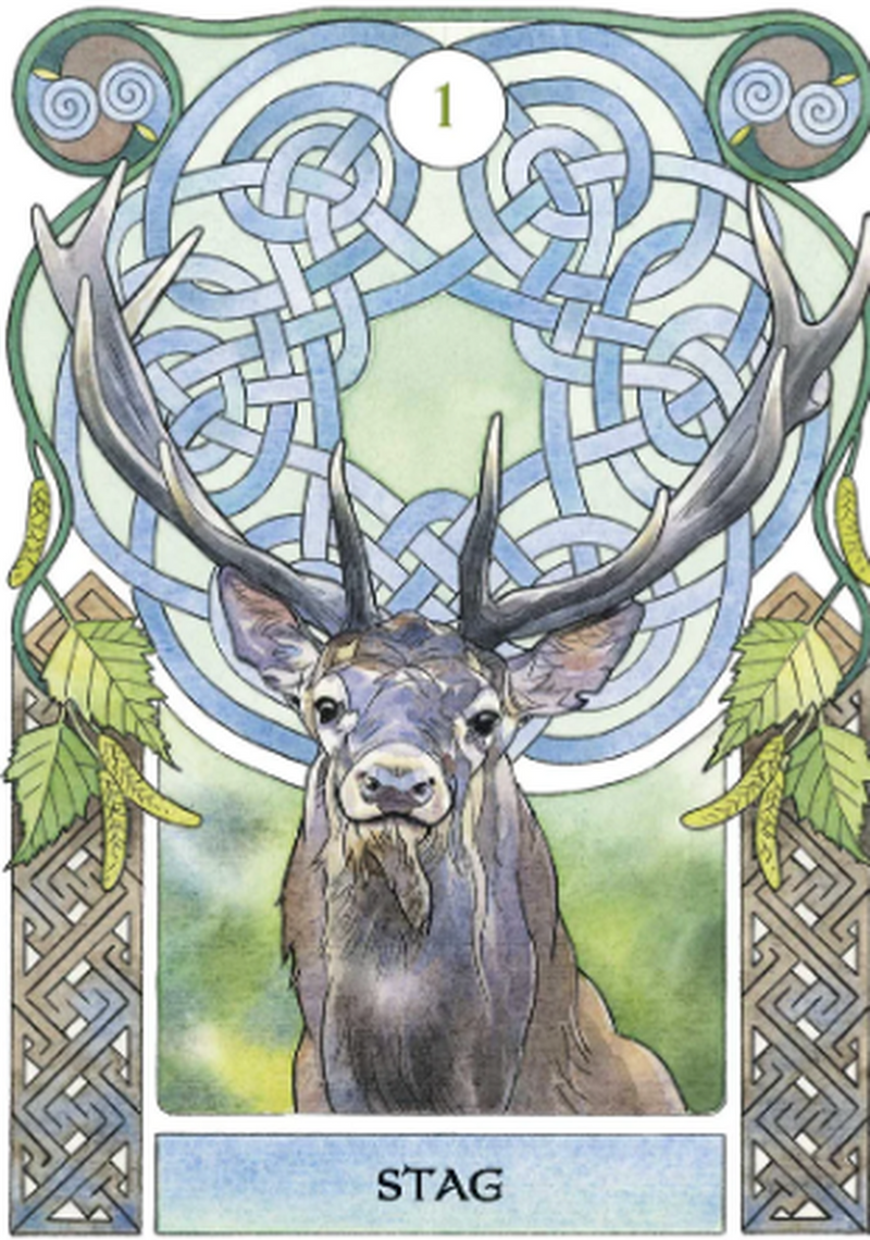 Celtic Astrology Oracle Cards