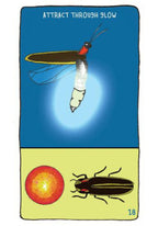 Bright Design Oracle Deck