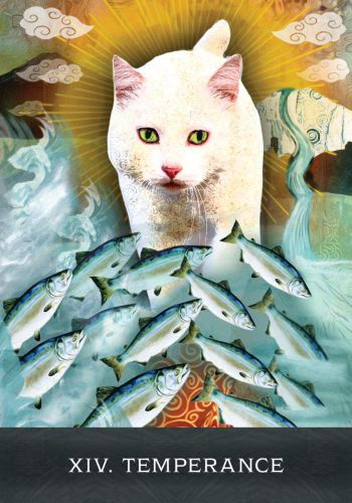Grimalkins Curious Cats Tarot