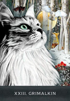 Grimalkins Curious Cats Tarot