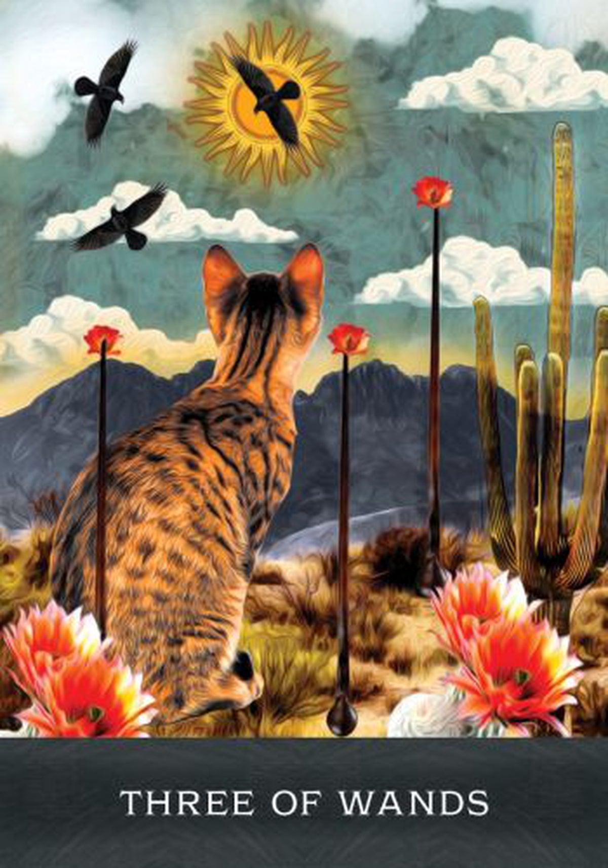 Grimalkins Curious Cats Tarot