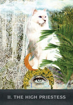 Grimalkins Curious Cats Tarot
