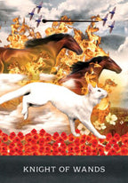 Grimalkins Curious Cats Tarot