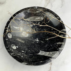 Mollusk Bowl