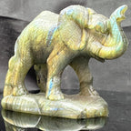 Labradorite Elephant