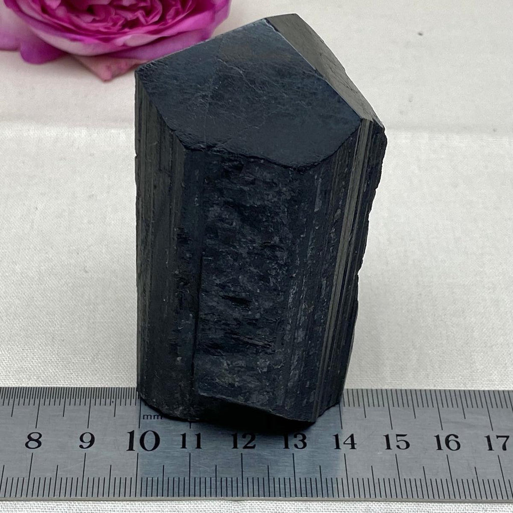 Black Tourmaline Large Raw & Polished Generator Crystal Points