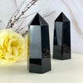 Black Obsidian Medium Size Point