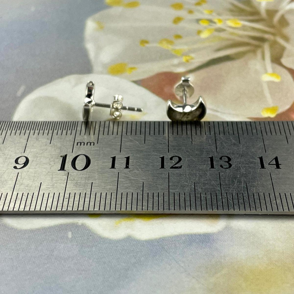 Labradorite Silver Earrings