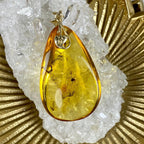 Insect In Amber Necklace