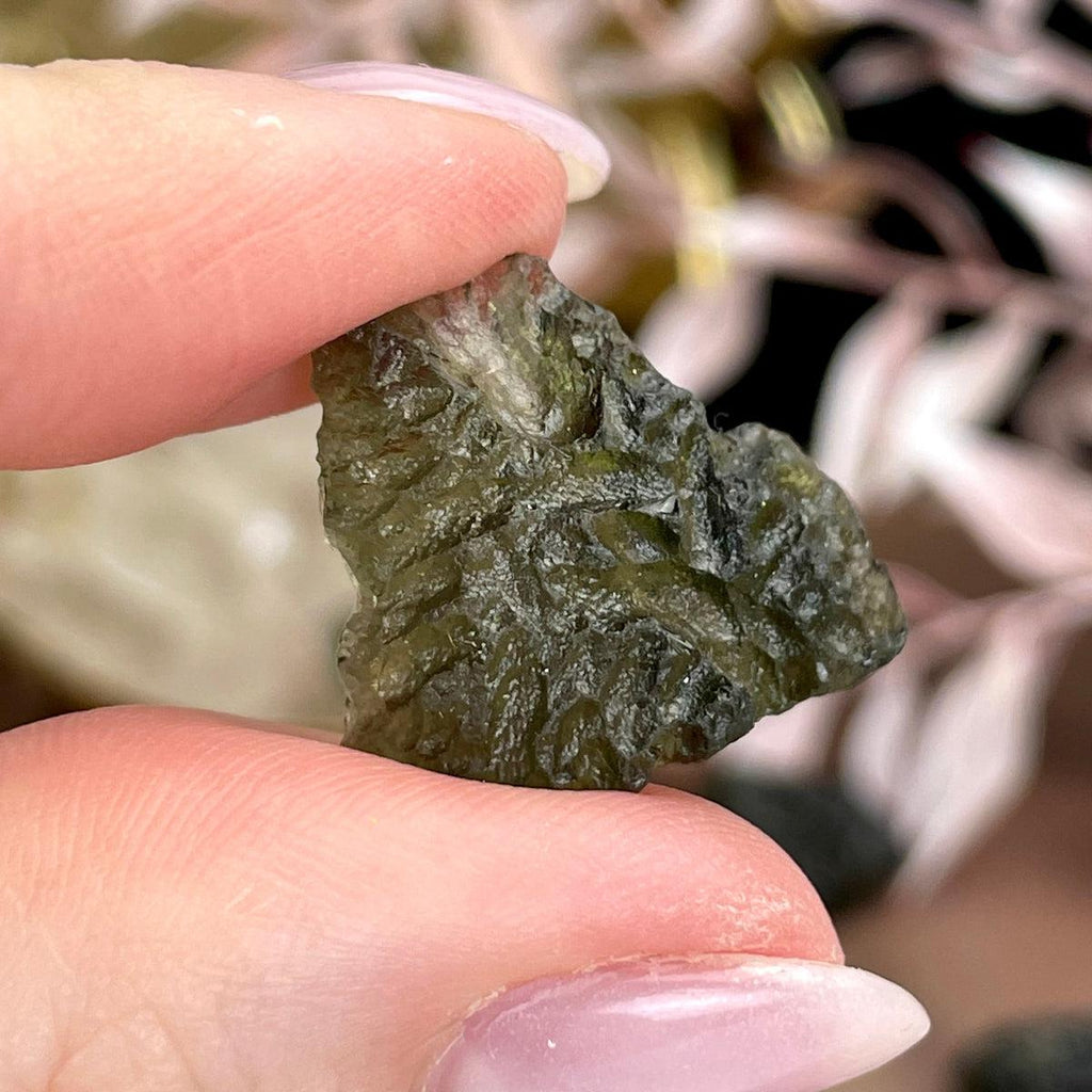 Medium Sized Moldavite Pieces
