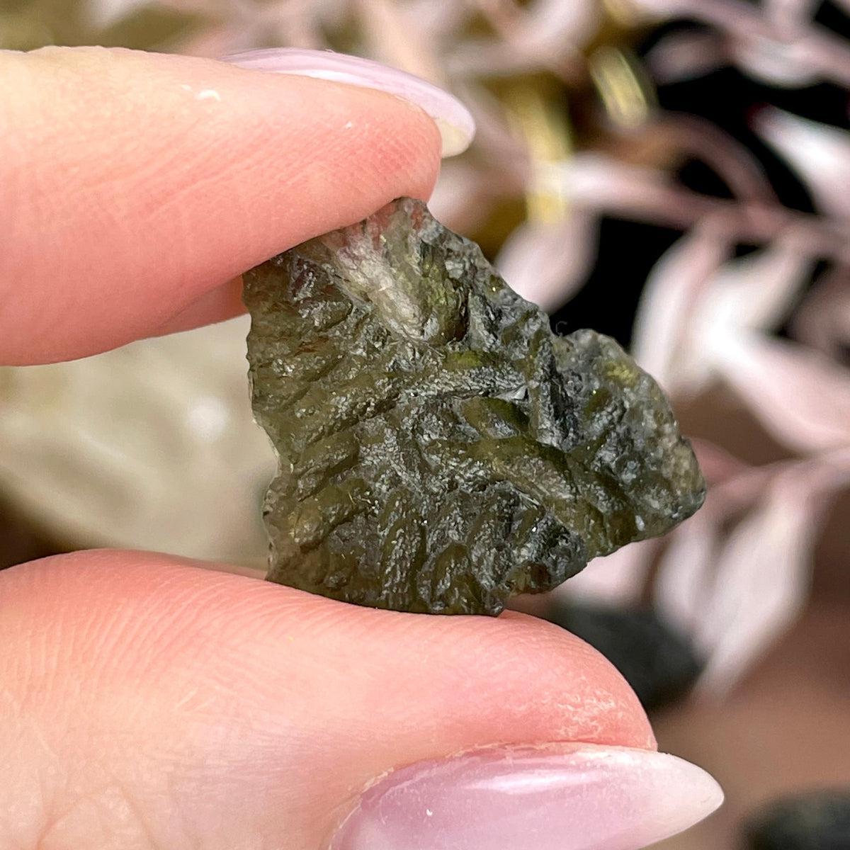 Medium Sized Moldavite Pieces