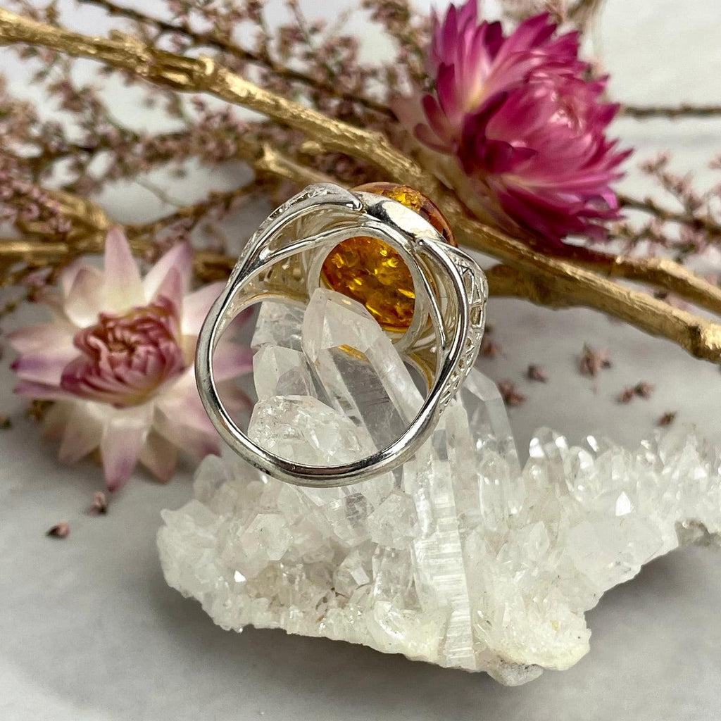 Amber Ring Australia