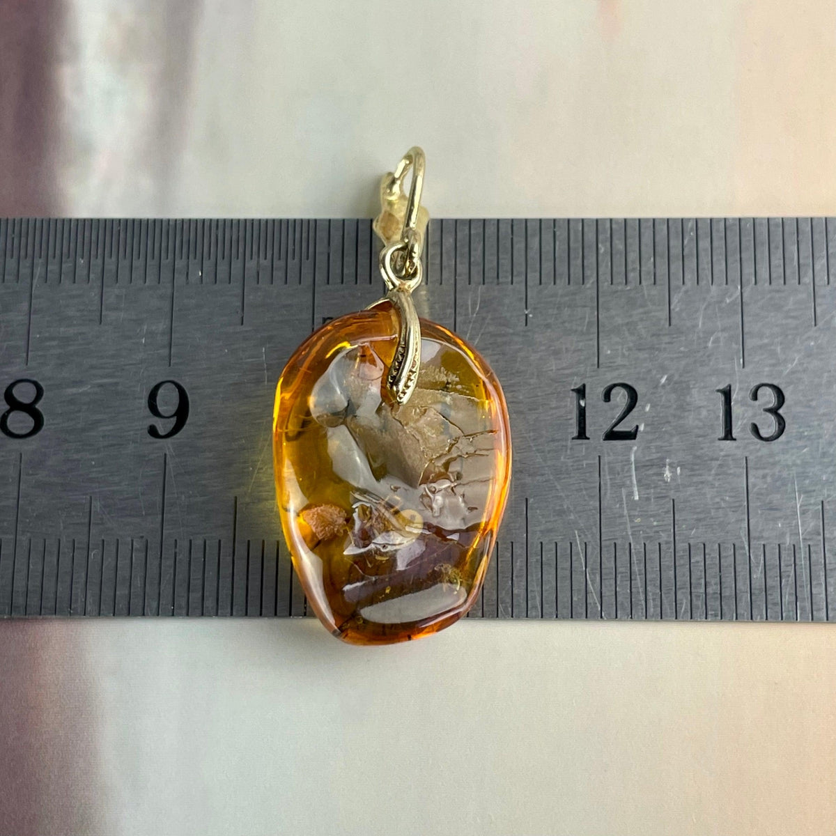 Bug Collector Gift