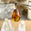 Amber Insect Gold Jewellery